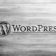 wordpress cms