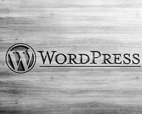 wordpress cms